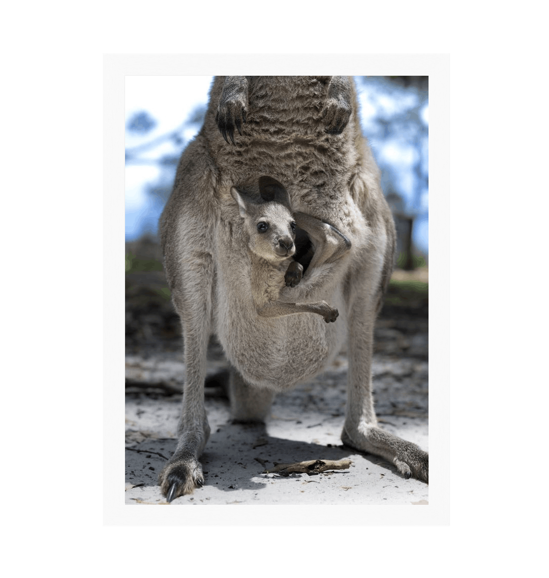 White Frame Framed art print Front