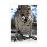 White Frame Framed art print Front