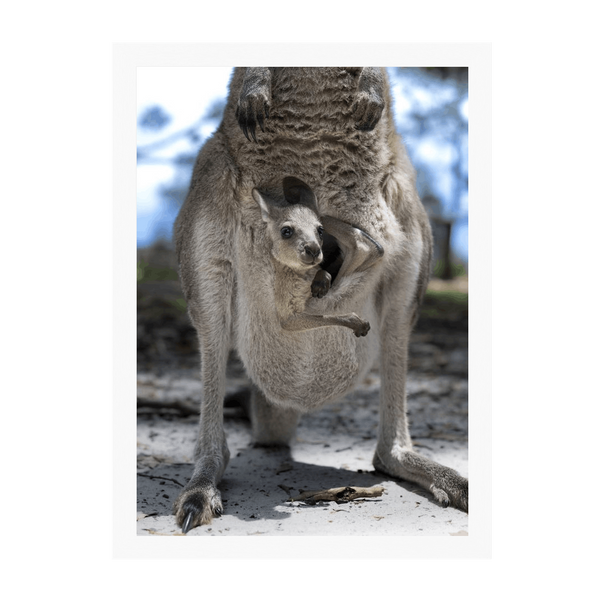 White Frame Framed art print Front