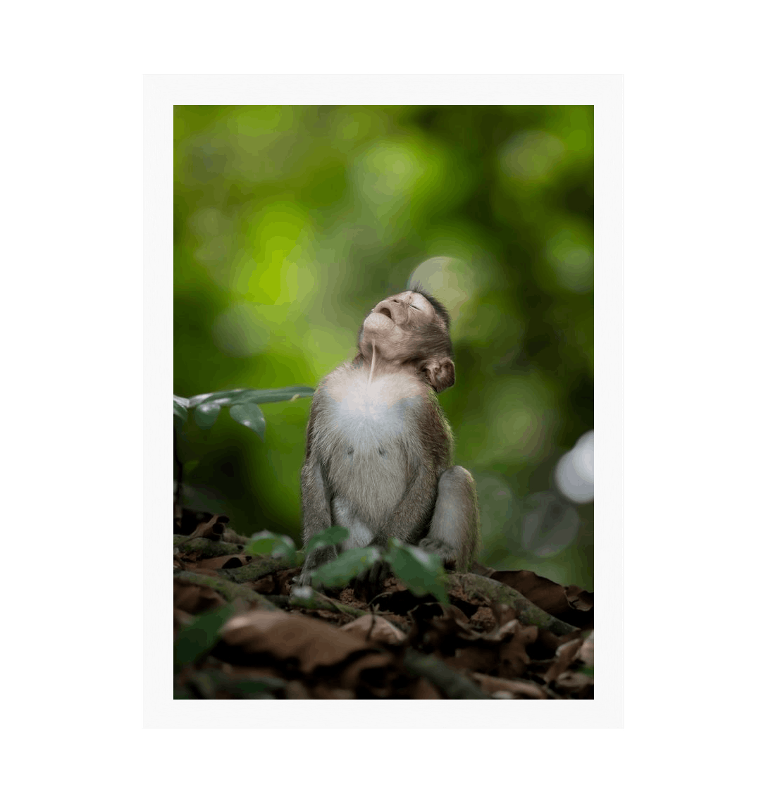 White Frame Framed art print Front