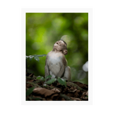 White Frame Framed art print Front