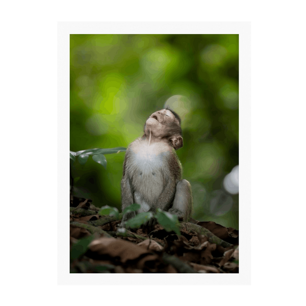 White Frame Framed art print Front