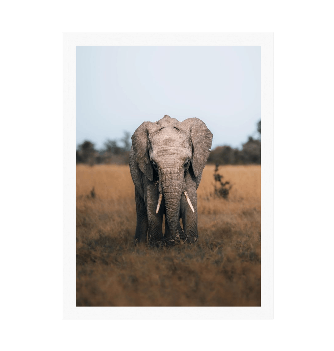 White Frame Framed art print Front