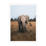 White Frame Framed art print Front