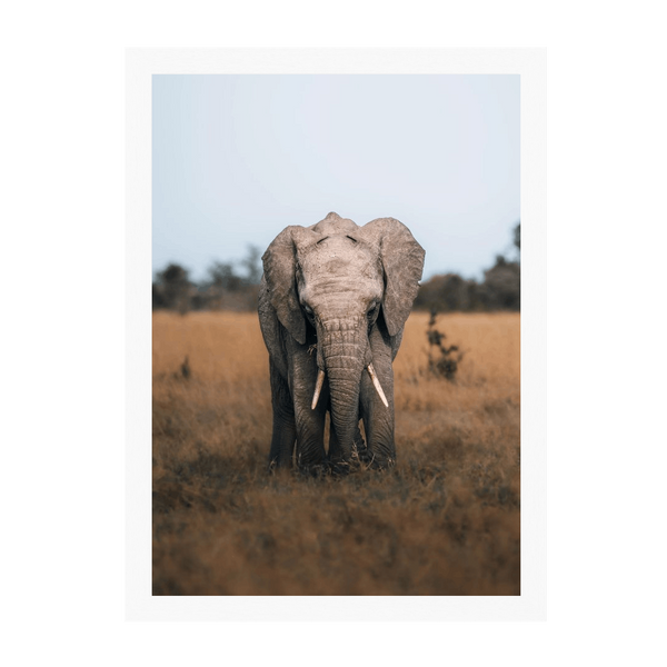 White Frame Framed art print Front