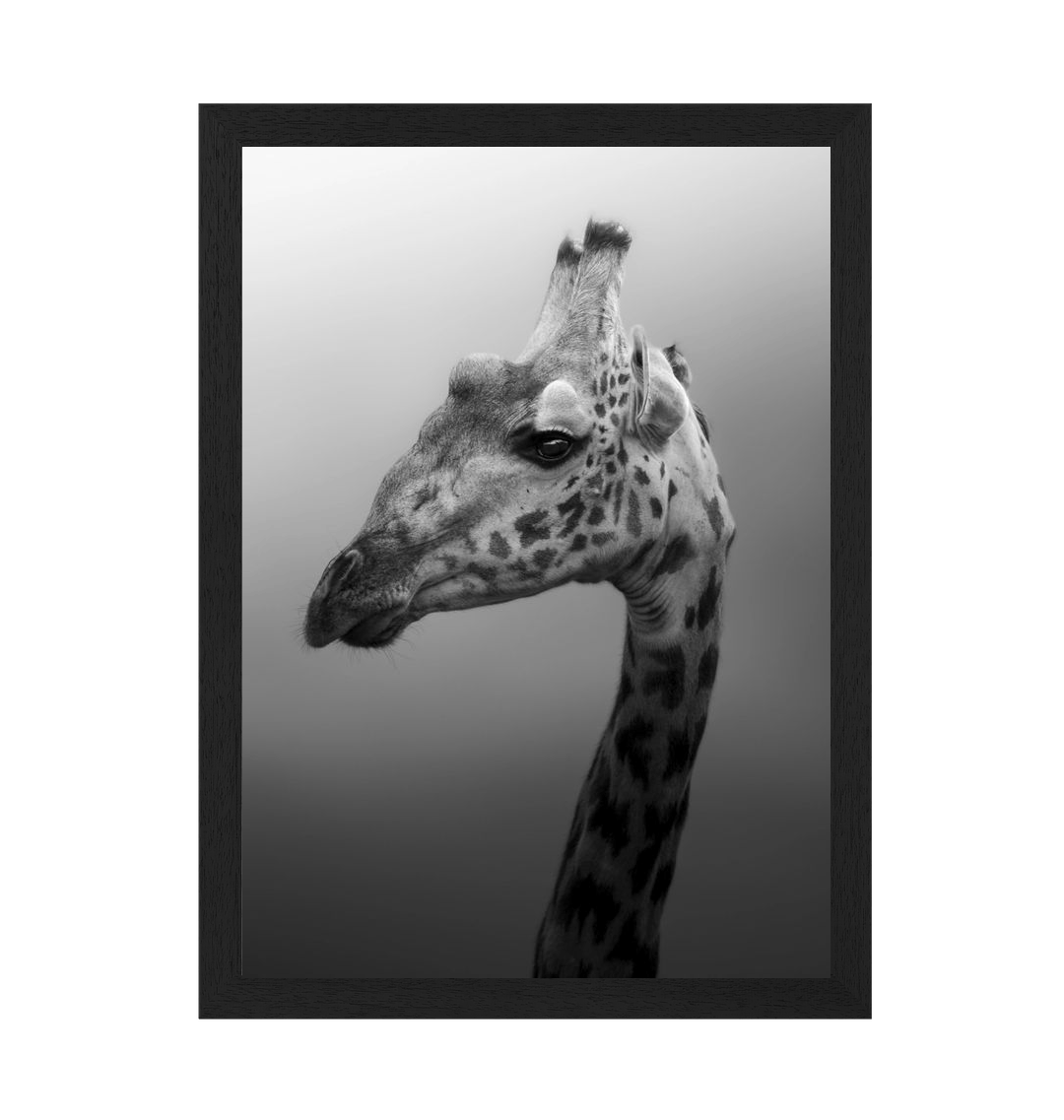 Black Frame Framed art print Front