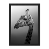 Black Frame Framed art print Front