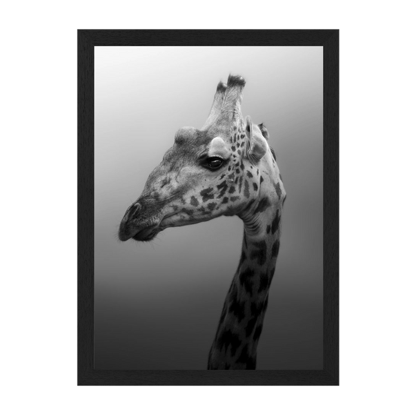 Black Frame Framed art print Front