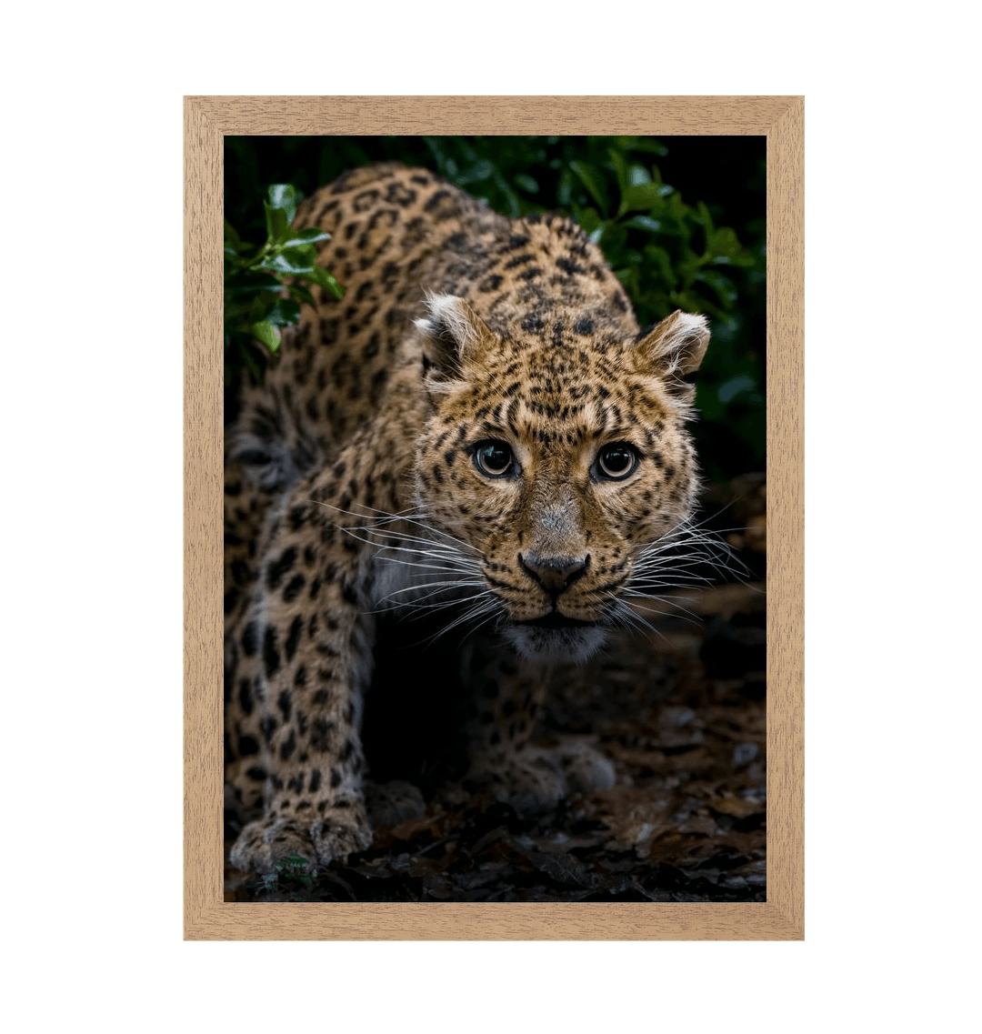 Natural Frame Framed art print Front