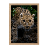 Natural Frame Framed art print Front