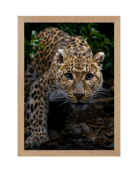 Natural Frame Framed art print Front