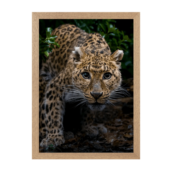 Natural Frame Framed art print Front