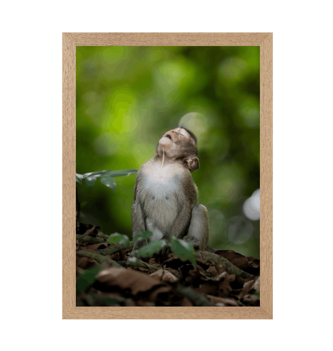 Natural Frame Framed art print Front