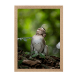 Natural Frame Framed art print Front