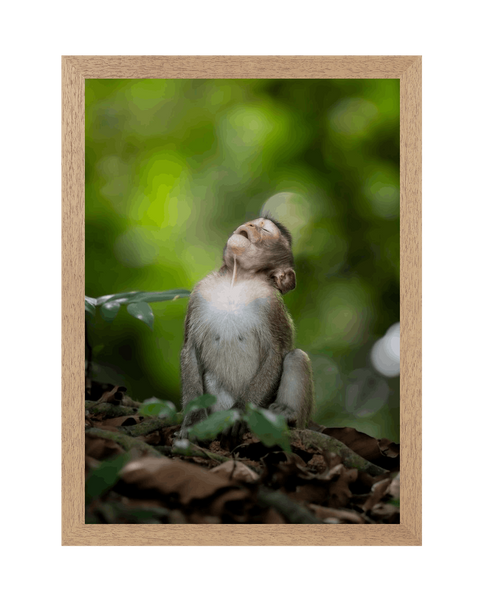 Natural Frame Framed art print Front