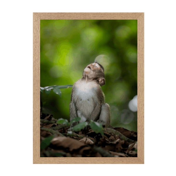 Natural Frame Framed art print Front