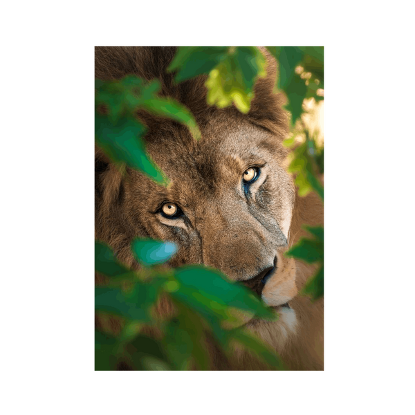 No Frame Canvas Print Front