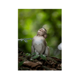 No Frame Canvas Print Front