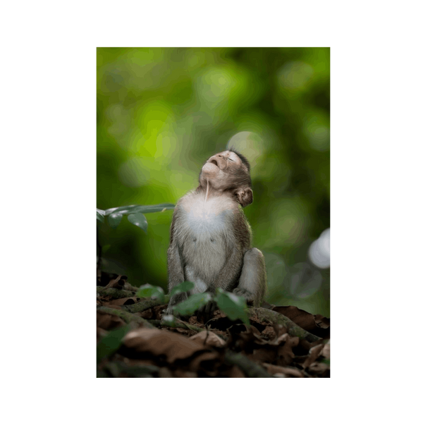 No Frame Canvas Print Front