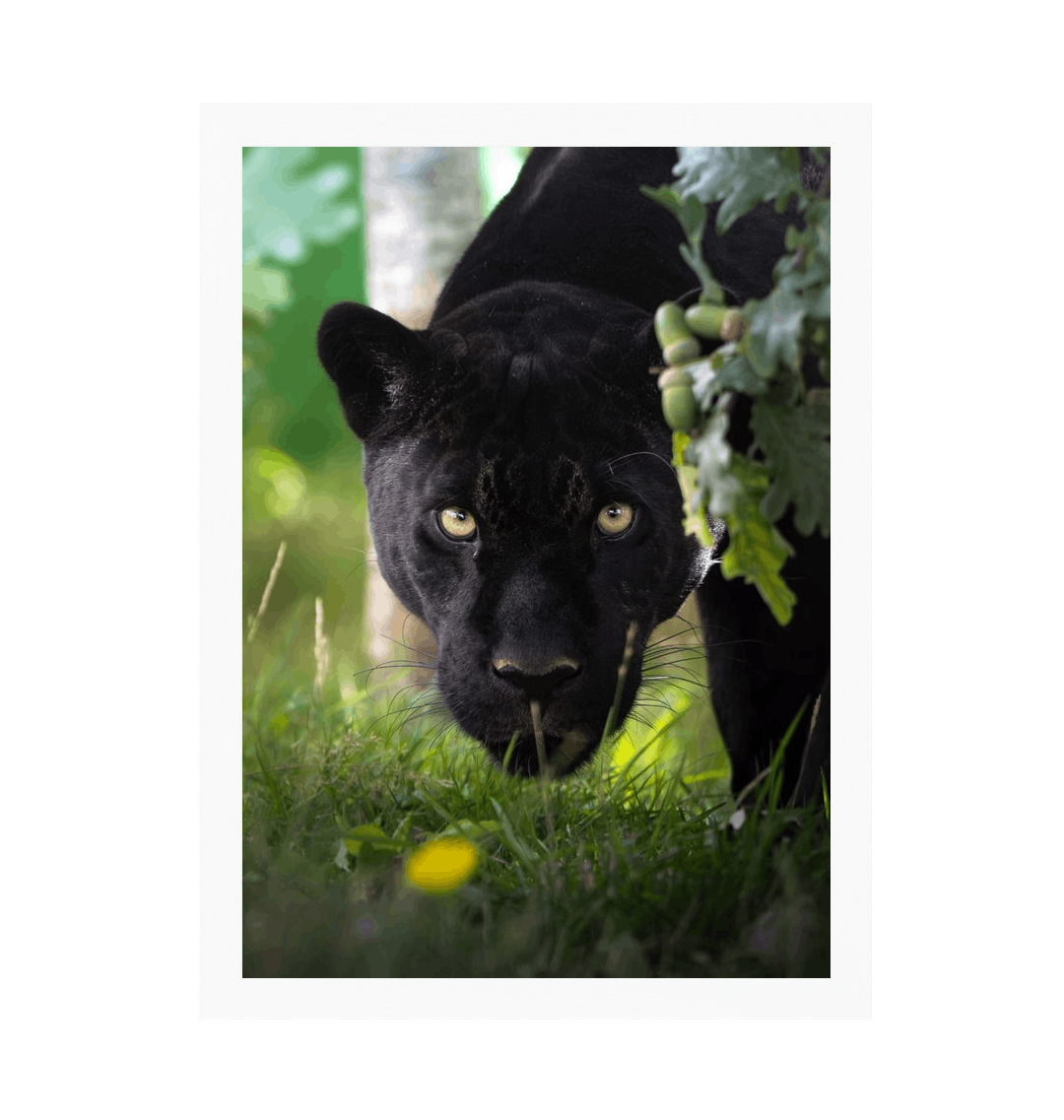 White Frame Framed art print Front