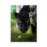 White Frame Framed art print Front