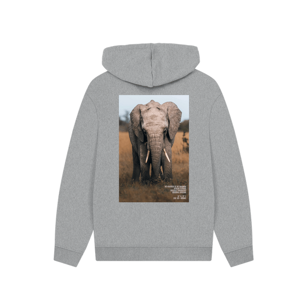 Athletic Grey Printed Hoody Back