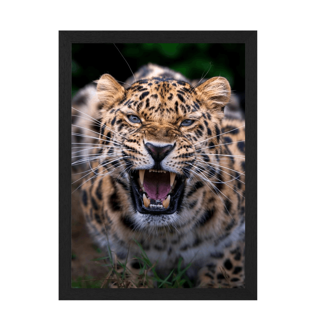 Black Frame Framed art print Front