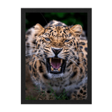 Black Frame Framed art print Front