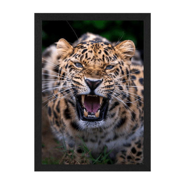 Black Frame Framed art print Front