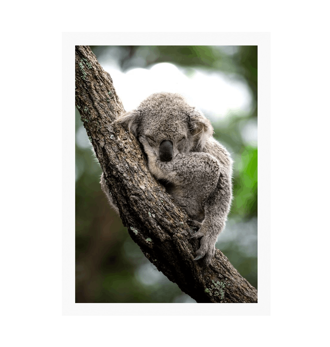 White Frame Framed art print Front