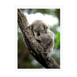 White Frame Framed art print Front