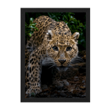 Black Frame Framed art print Front