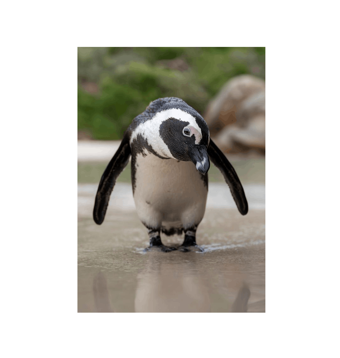 No Frame Framed art print Front