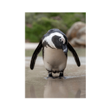 No Frame Framed art print Front