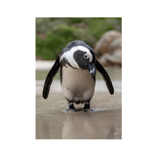 No Frame Framed art print Front