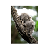 No Frame Framed art print Front