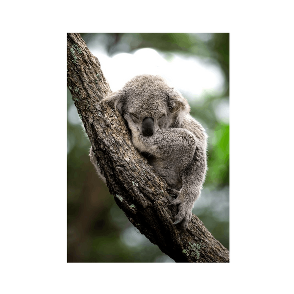 No Frame Framed art print Front