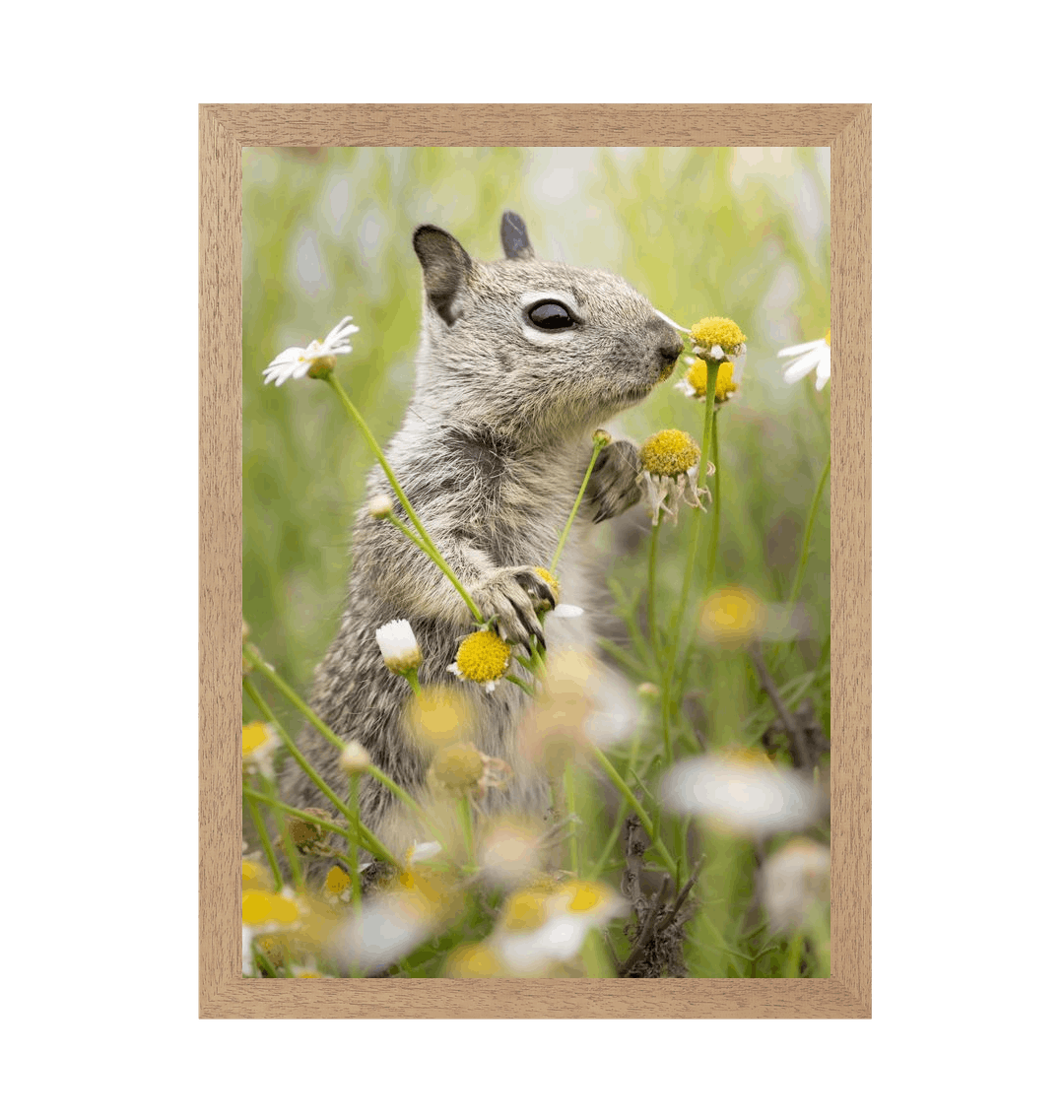 Natural Frame Framed art print Front