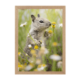 Natural Frame Framed art print Front