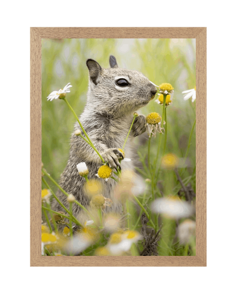 Natural Frame Framed art print Front