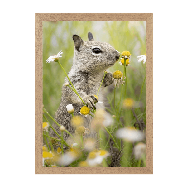 Natural Frame Framed art print Front