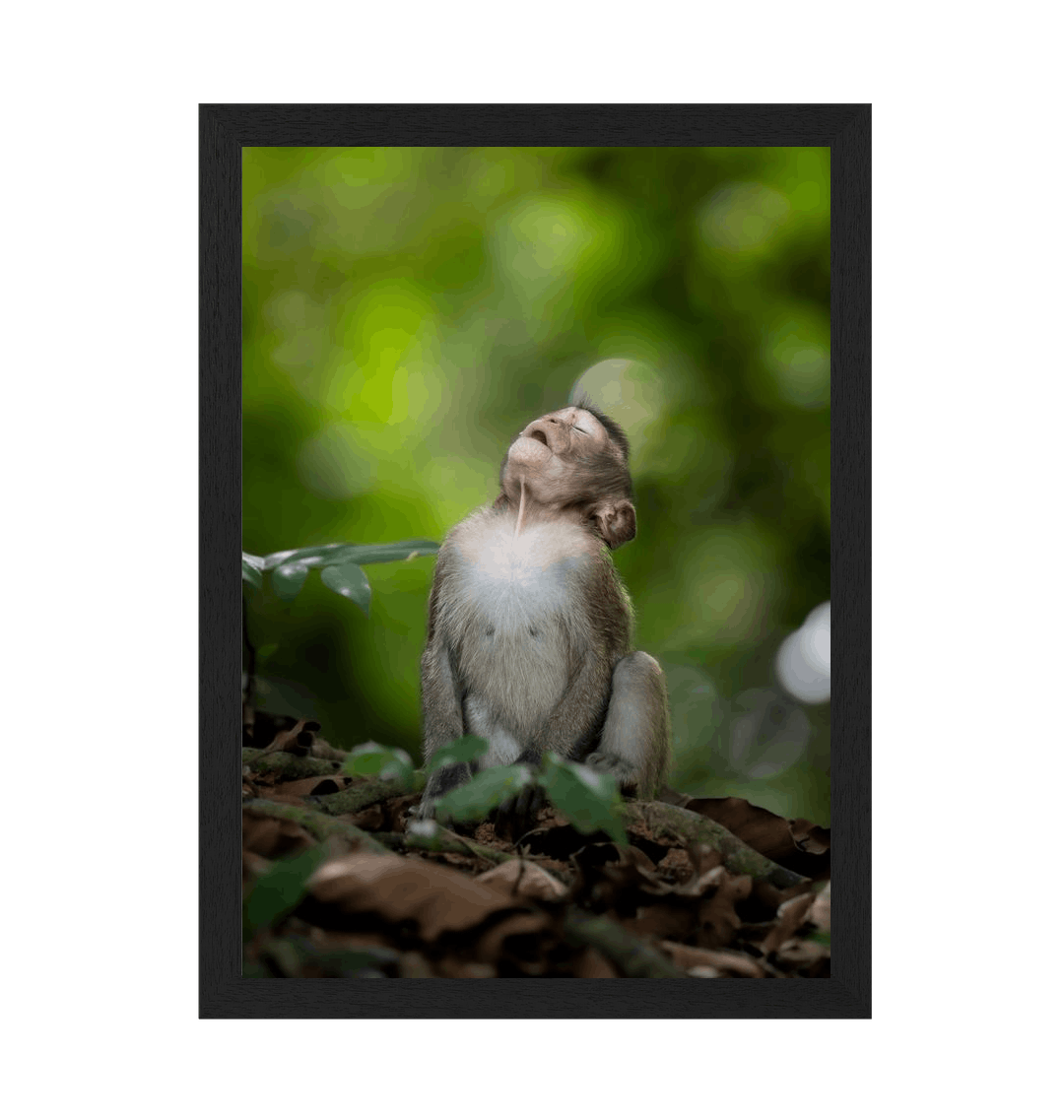 Black Frame Framed art print Front