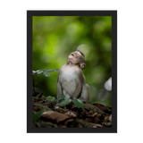 Black Frame Framed art print Front