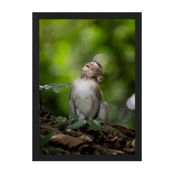 Black Frame Framed art print Front