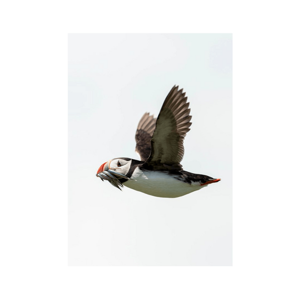 No Frame Canvas Print Front