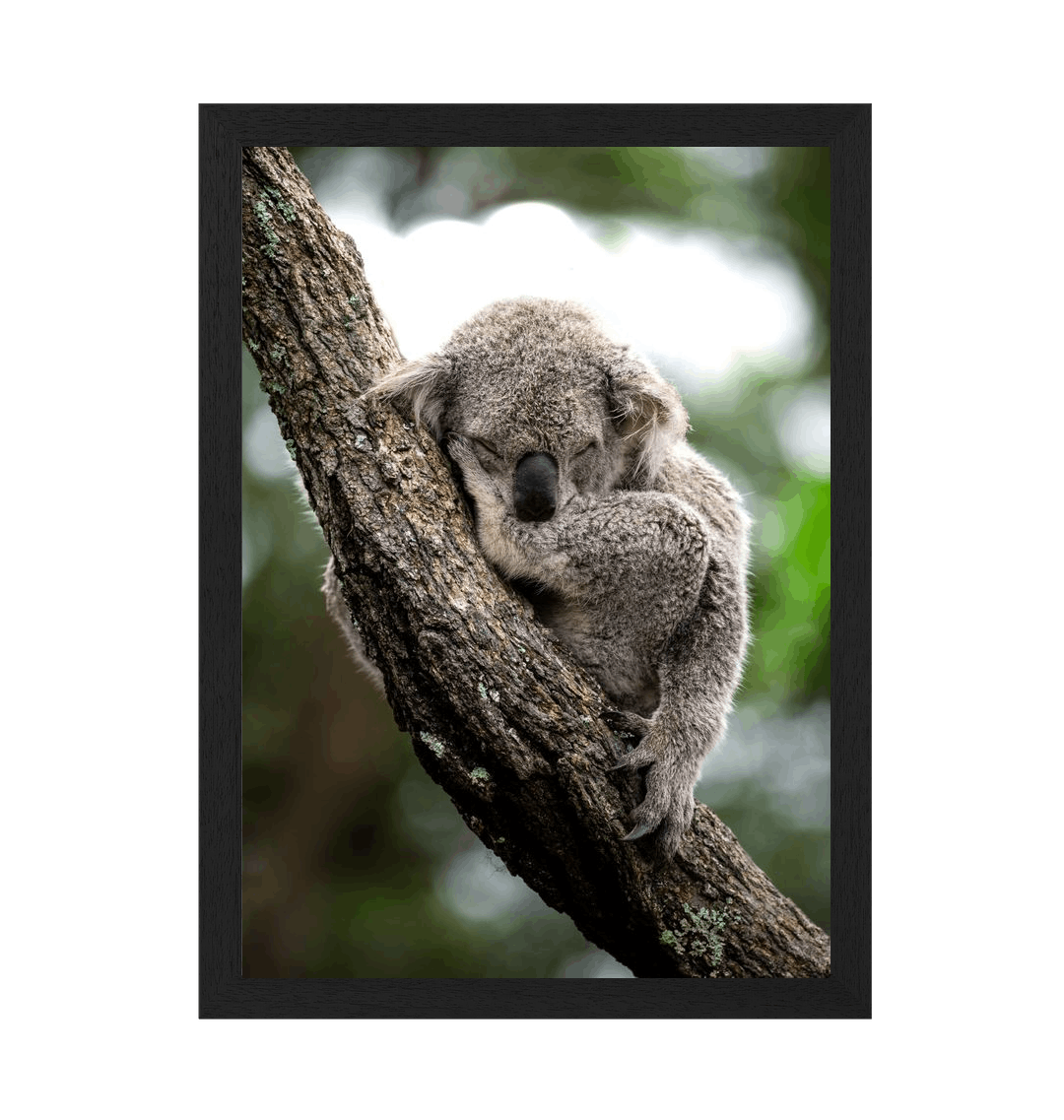 Black Frame Framed art print Front