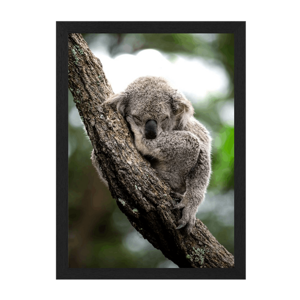 Black Frame Framed art print Front