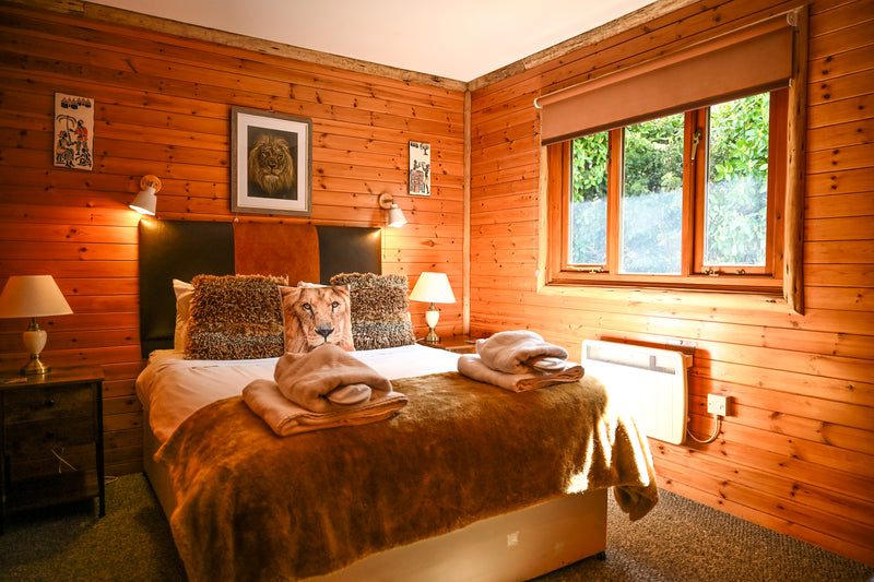 Cam Whitnall — Lion Heart gallery image