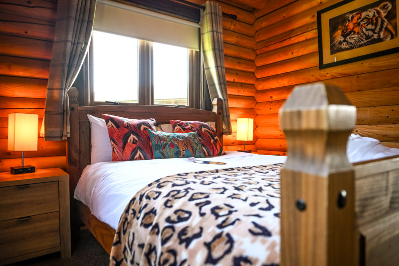 Cam Whitnall — Lion Heart gallery image