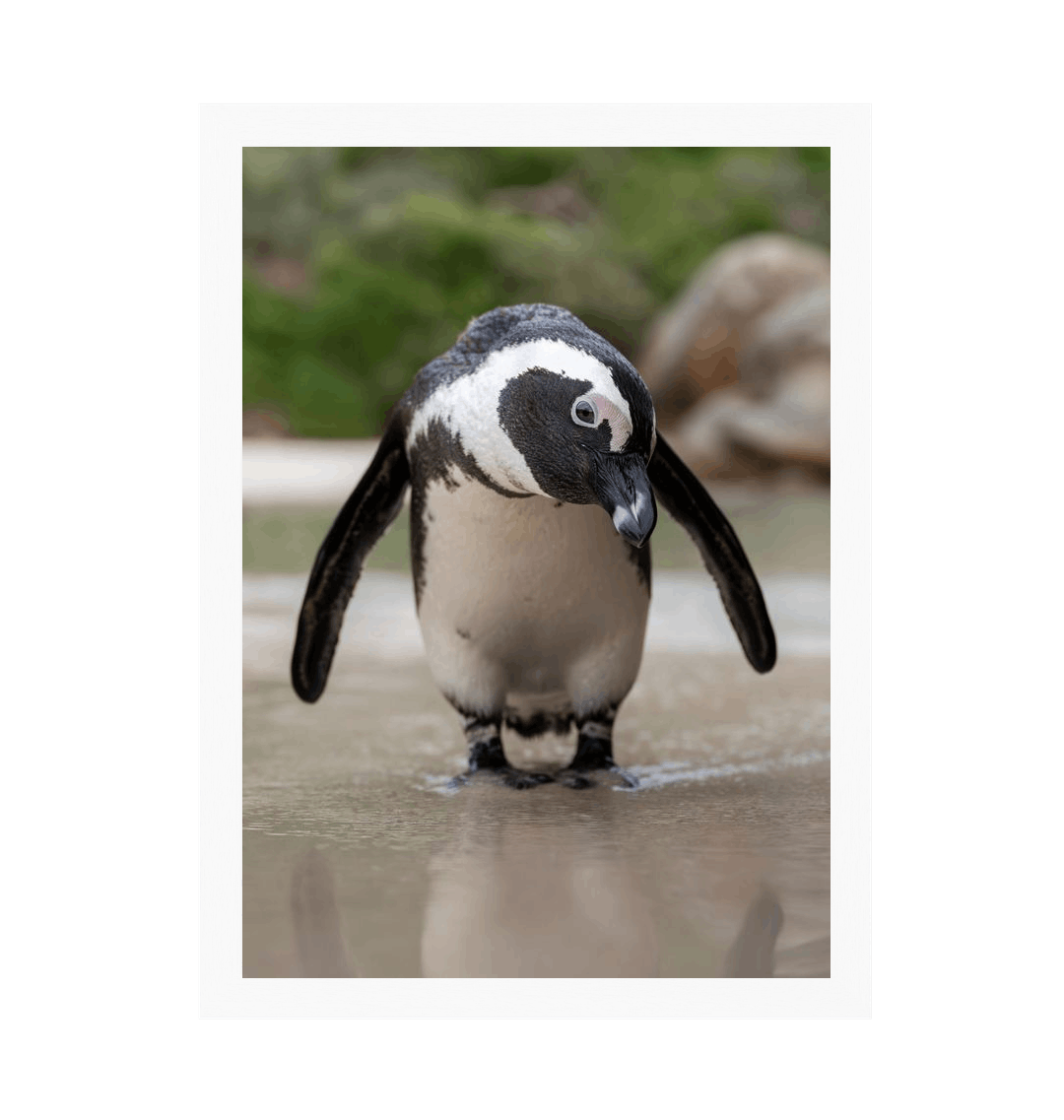 White Frame Framed art print Front